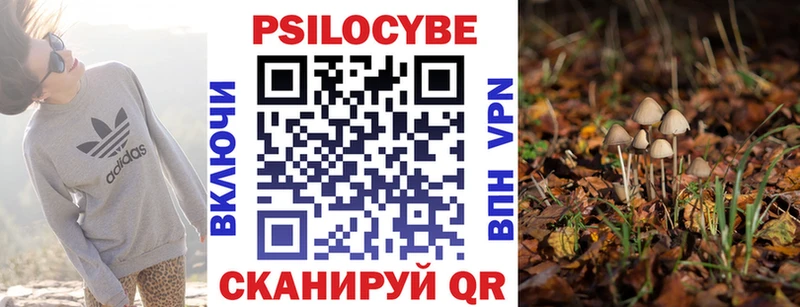 где найти   Покров  Псилоцибиновые грибы MAGIC MUSHROOMS 
