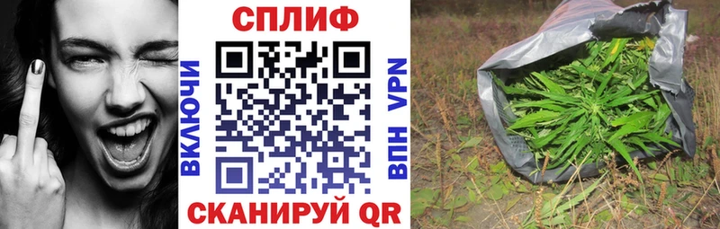 Конопля сатива  купить наркотик  Покров 